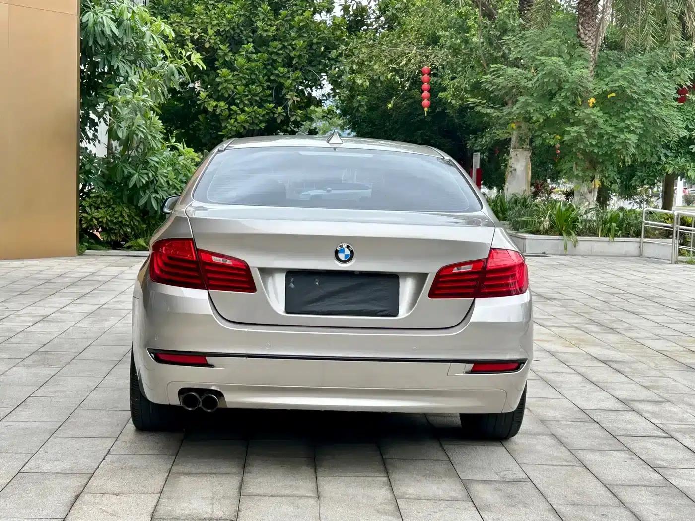 2014 BMW 5 Series 525Li Luxury Design Package — миниатюра 5