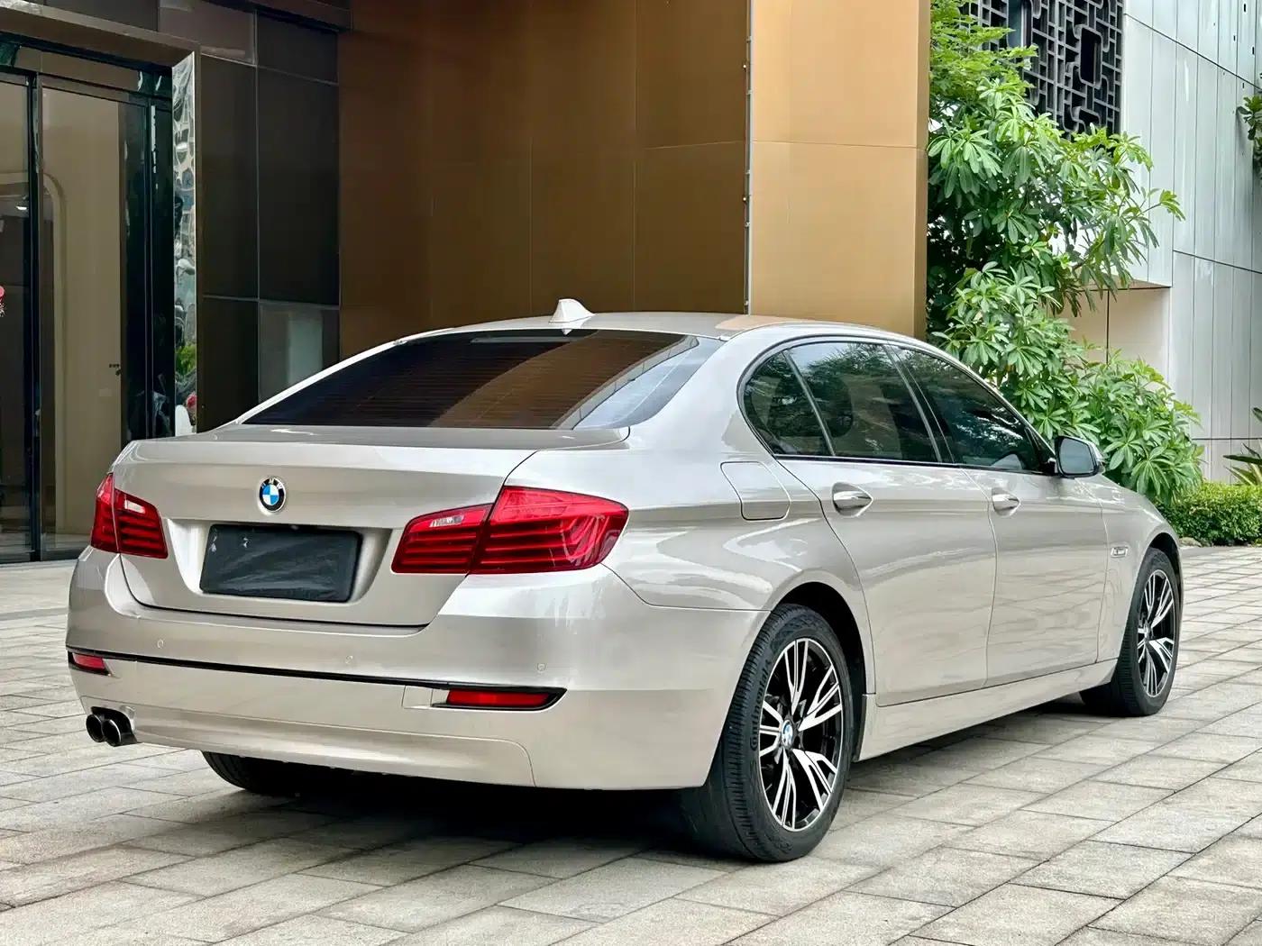 2014 BMW 5 Series 525Li Luxury Design Package — миниатюра 6
