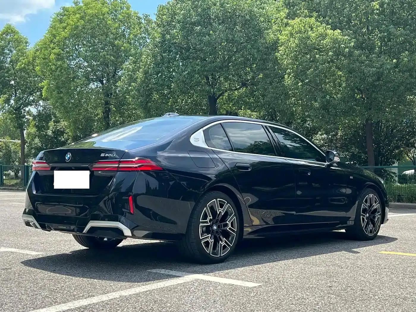 2025 BMW 5 Series 530Li Leading Edition M Sport Package — миниатюра 14