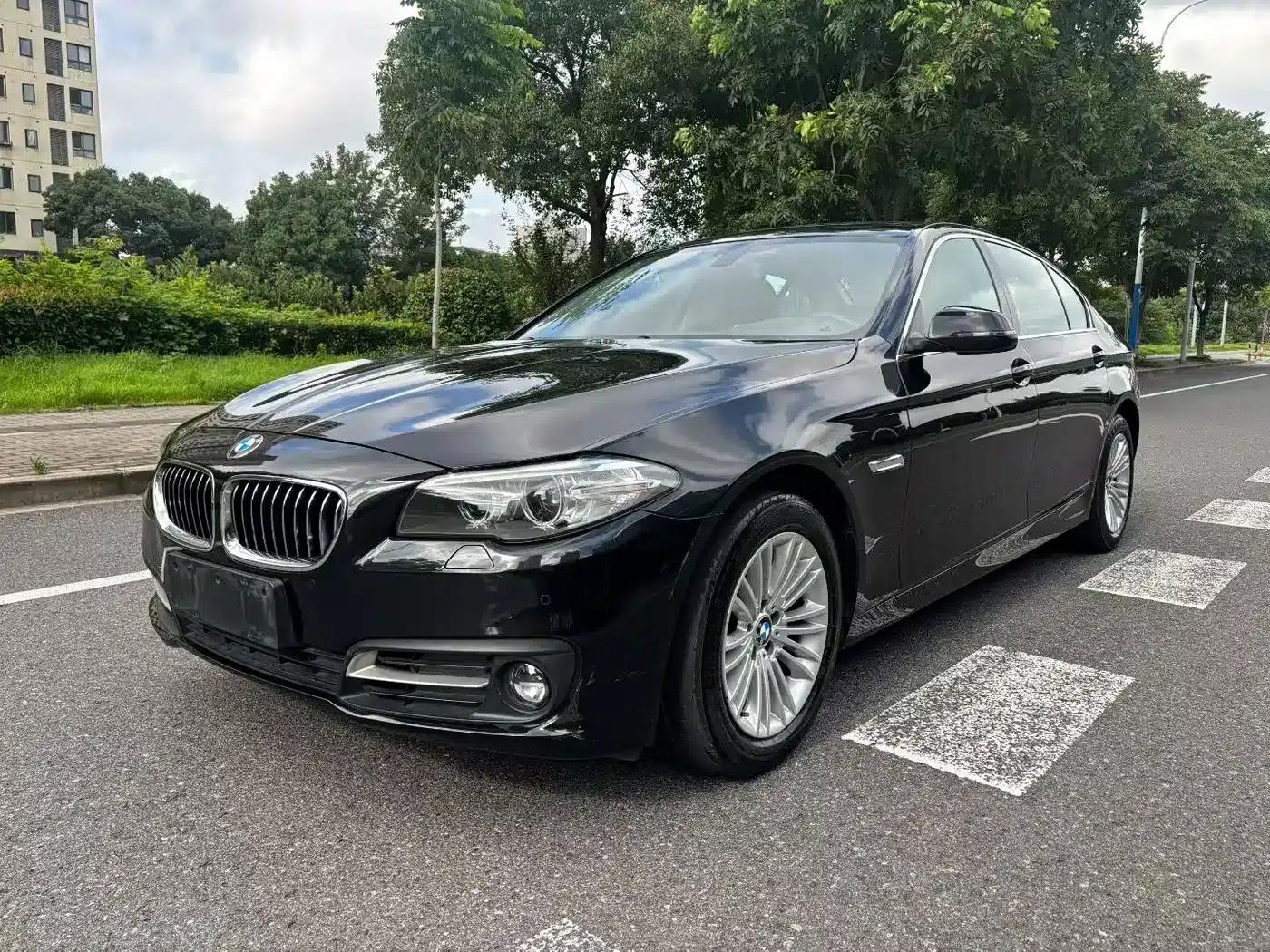 2014 BMW 5 Series 525Li Leading Edition — миниатюра 1
