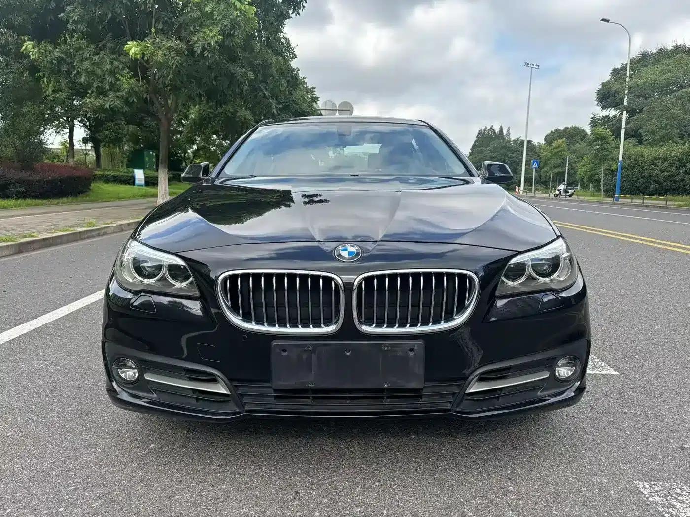 2014 BMW 5 Series 525Li Leading Edition — миниатюра 3
