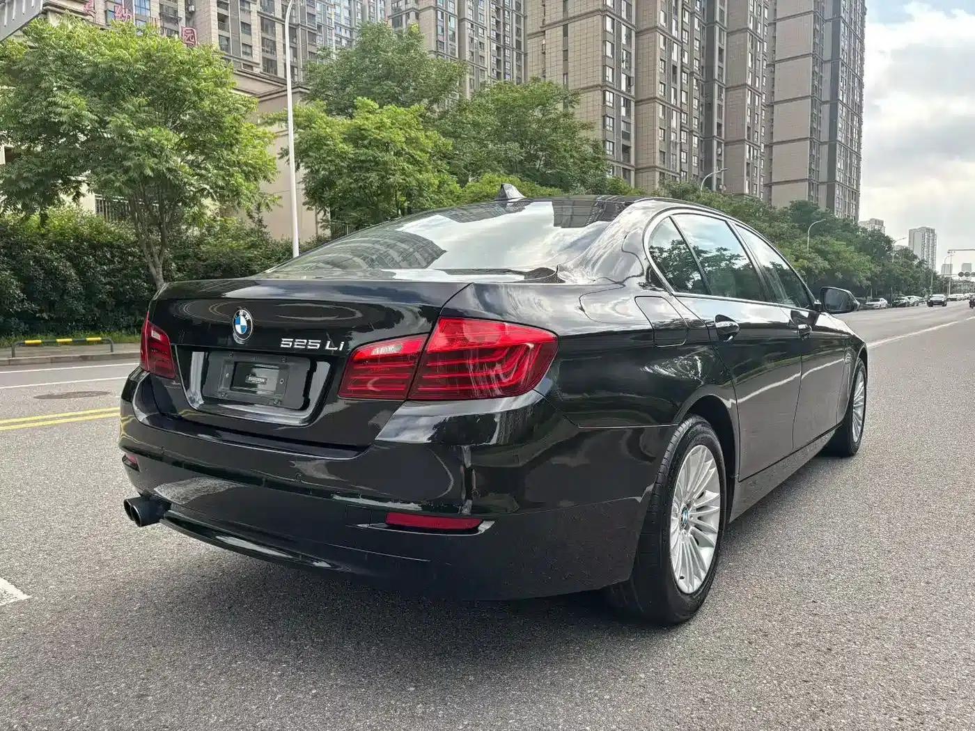 2014 BMW 5 Series 525Li Leading Edition — миниатюра 7