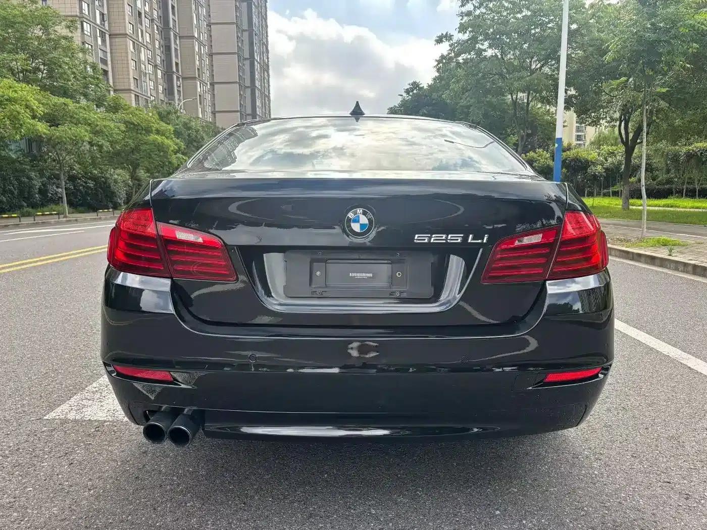 2014 BMW 5 Series 525Li Leading Edition — миниатюра 9