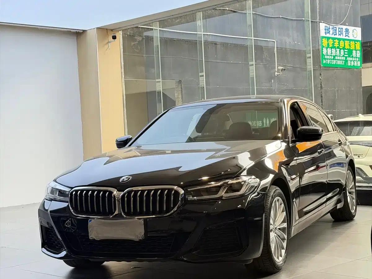 BMW 5 Series 2019 530Li Luxury Package — миниатюра 1