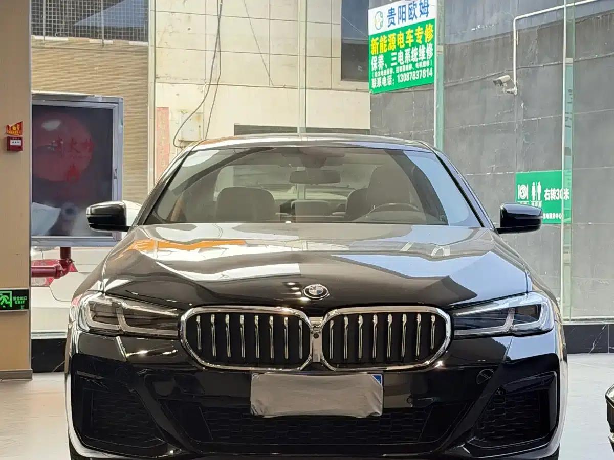 BMW 5 Series 2019 530Li Luxury Package — миниатюра 2
