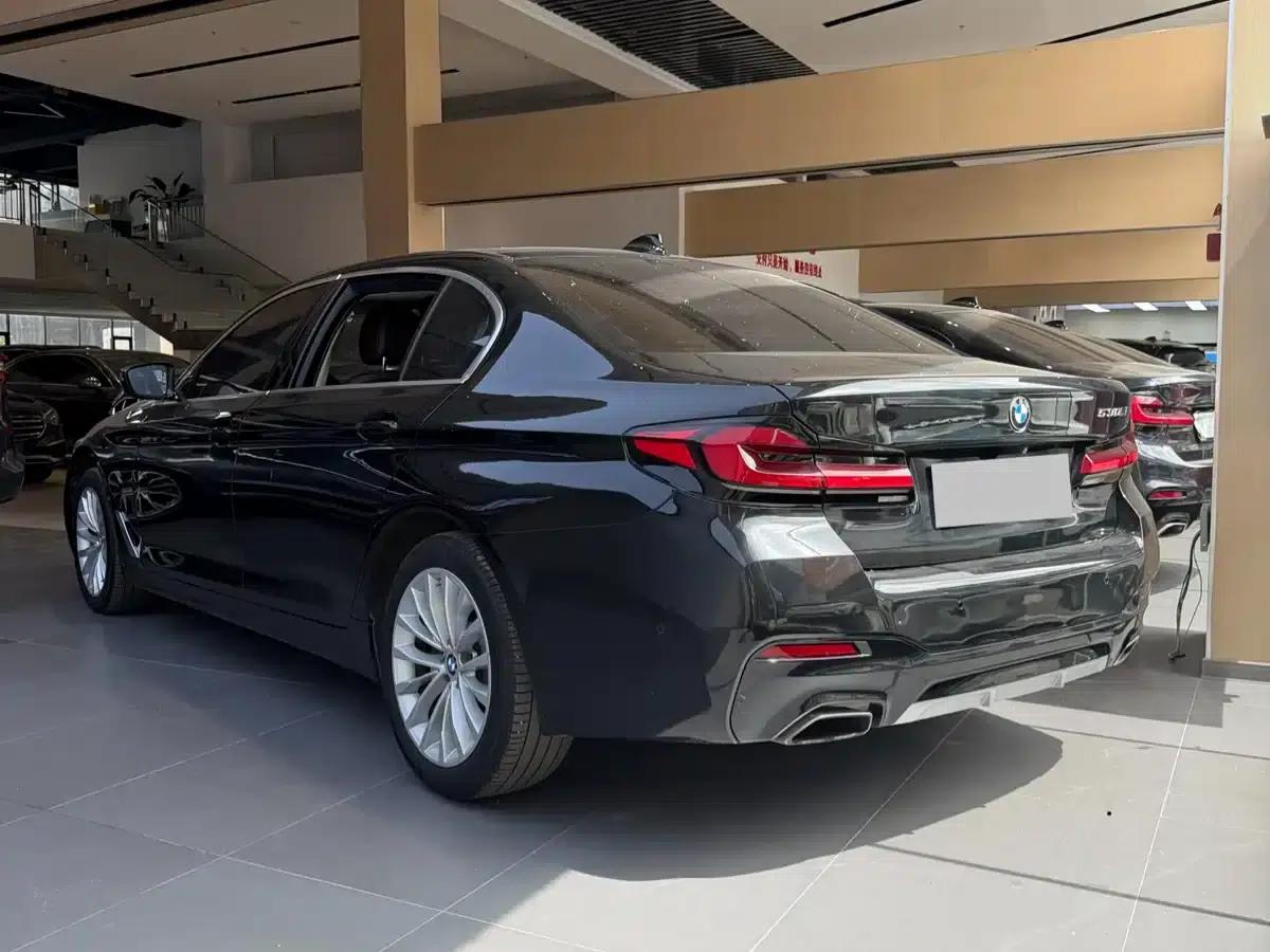 BMW 5 Series 2019 530Li Luxury Package — миниатюра 9