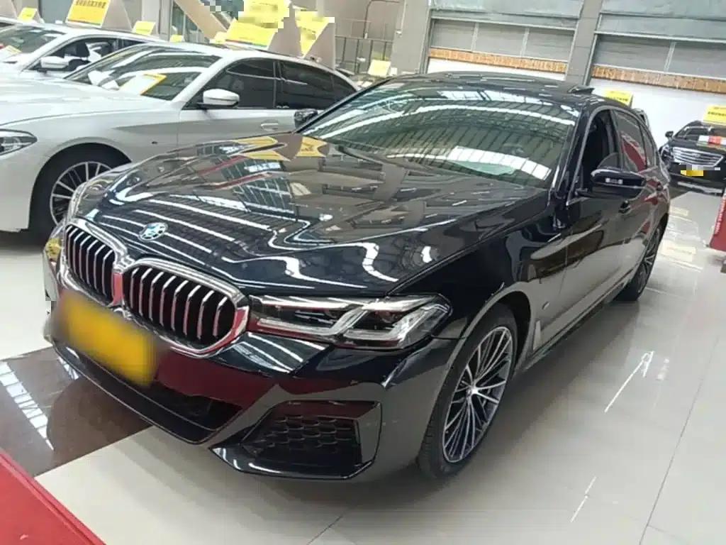 2021 BMW 5 Series Facelift 530Li Leading Edition M Sport Package — миниатюра 1