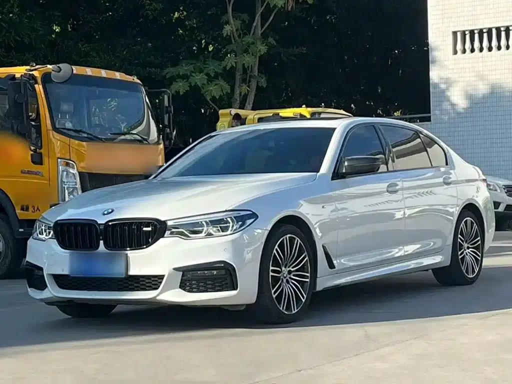 2019 BMW 5 Series 530Li Luxury M Sport Package — миниатюра 1