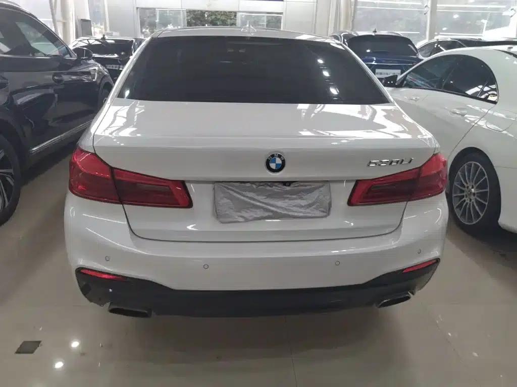 2019 BMW 5 Series 530Li Luxury M Sport Package — миниатюра 4