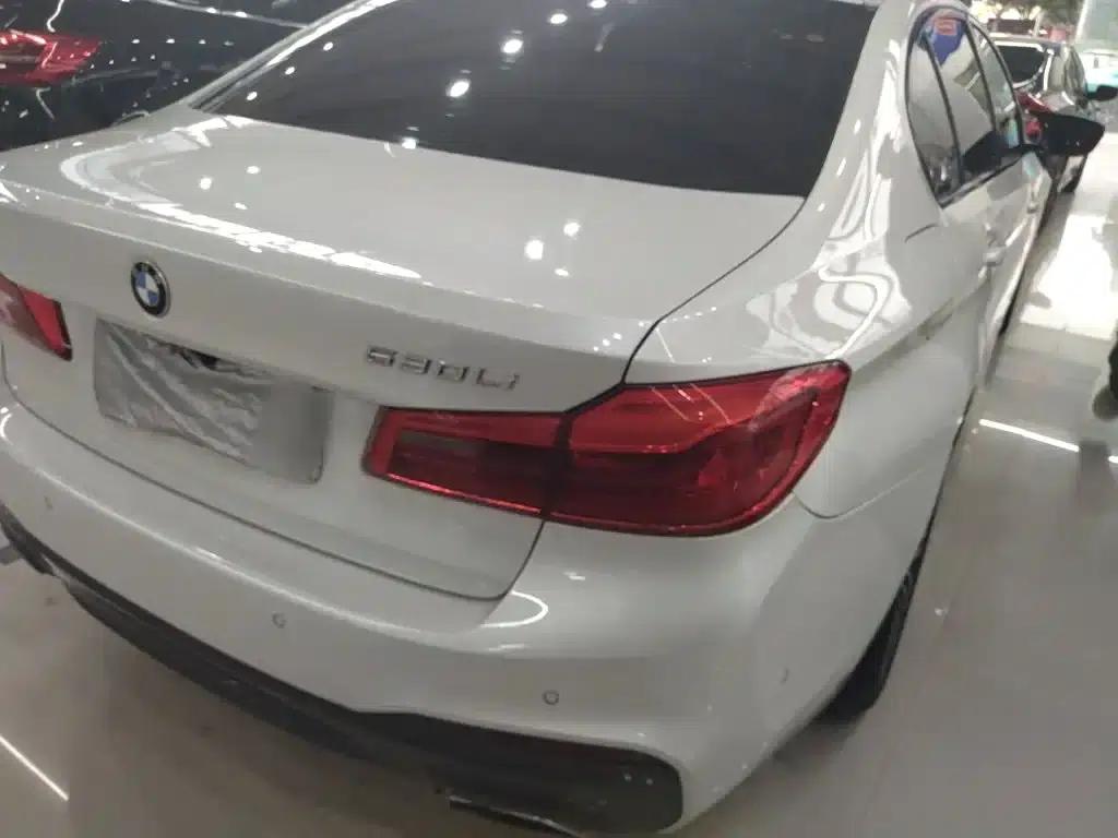 2019 BMW 5 Series 530Li Luxury M Sport Package — миниатюра 5