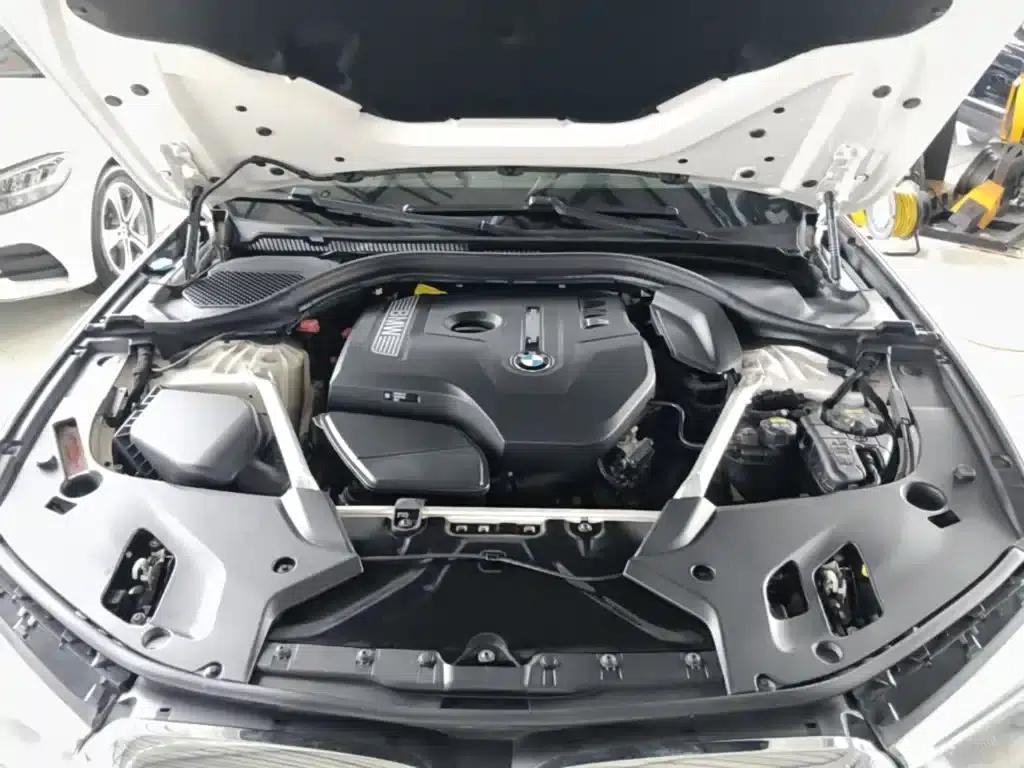 2019 BMW 5 Series Facelift 530Li Luxury M Sport Package — миниатюра 20