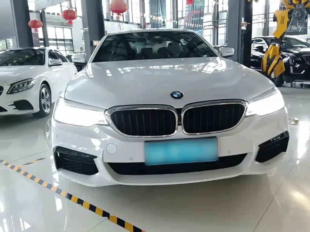 2019 BMW 5 Series Facelift 530Li Luxury M Sport Package — миниатюра 3