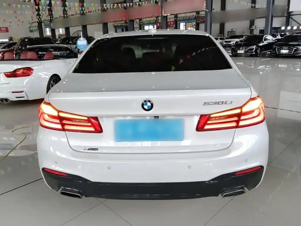 2019 BMW 5 Series Facelift 530Li Luxury M Sport Package — миниатюра 6