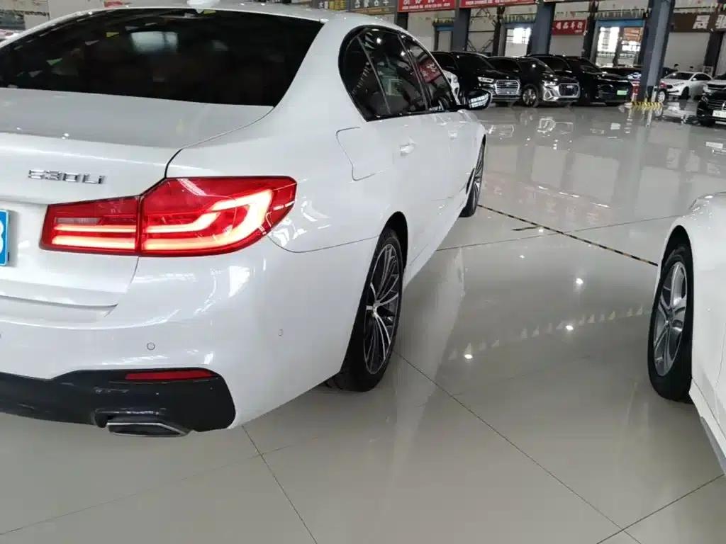 2019 BMW 5 Series Facelift 530Li Luxury M Sport Package — миниатюра 8