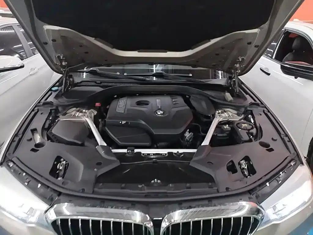 2020 BMW 5 Series 525Li Luxury Package — миниатюра 20