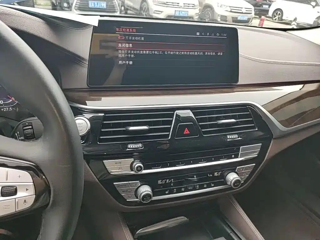 2020 BMW 5 Series 525Li Luxury Package — миниатюра 13