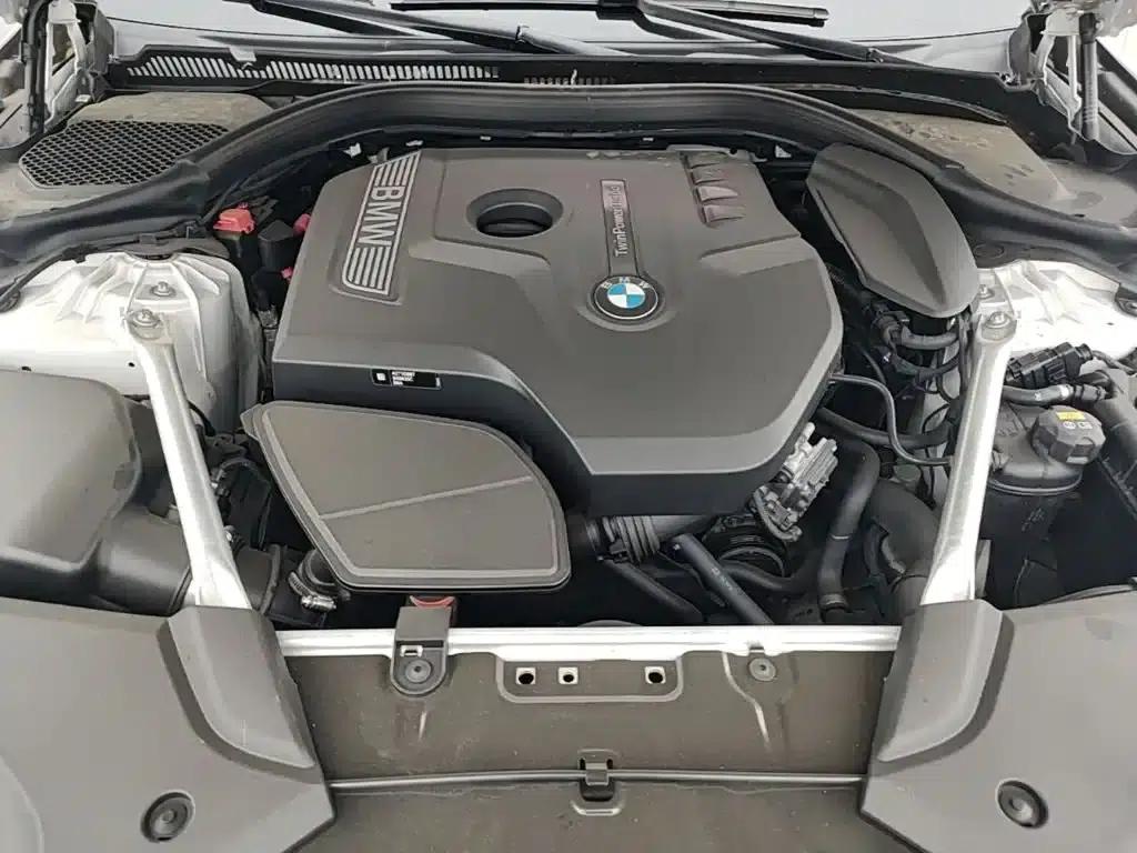 2020 BMW 5 Series 525Li Luxury Package — миниатюра 20