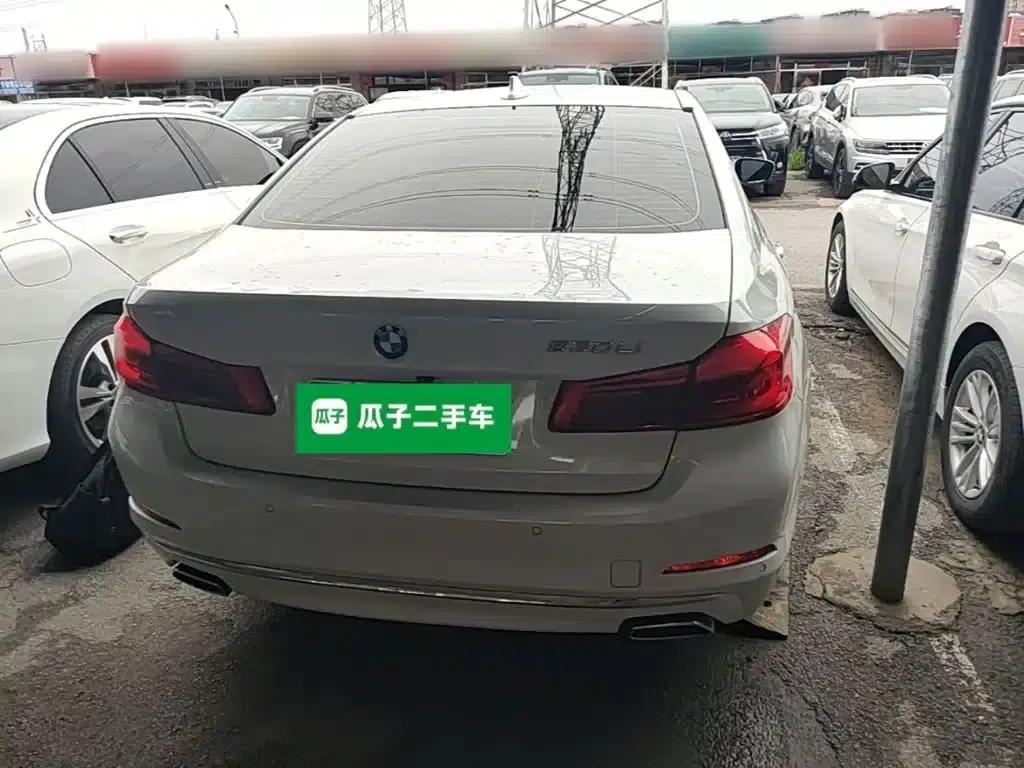 2020 BMW 5 Series 525Li Luxury Package — миниатюра 6