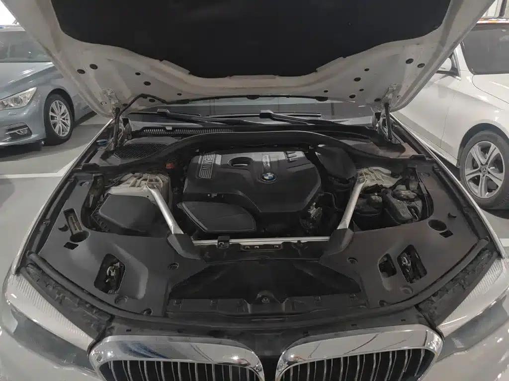 BMW 5 Series 2019 Facelift 530Li Leading Luxury Package — миниатюра 16