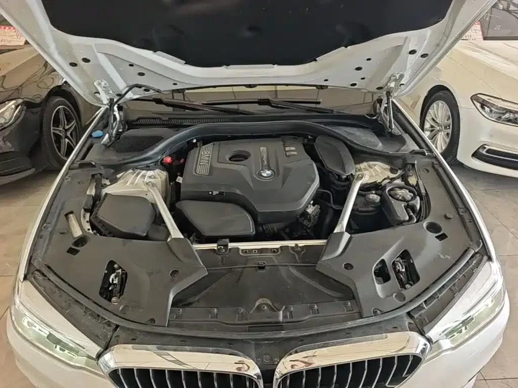 BMW 5 Series 2020 530Li Luxury Package — миниатюра 20