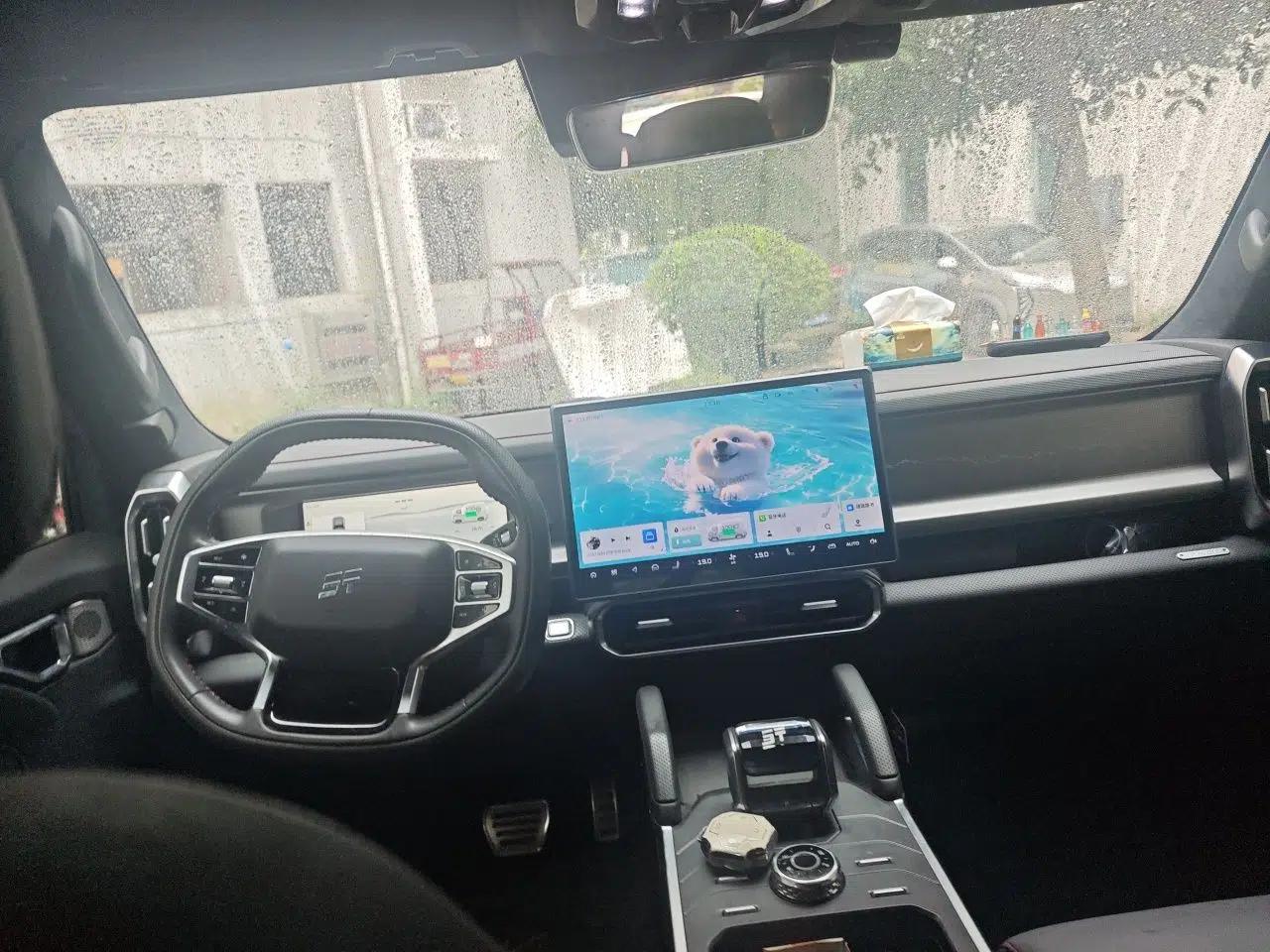 JETOUR Shanhai Traveler C-DM 2024 C-DM 208KM Mountain & Wilderness Edition — миниатюра 18