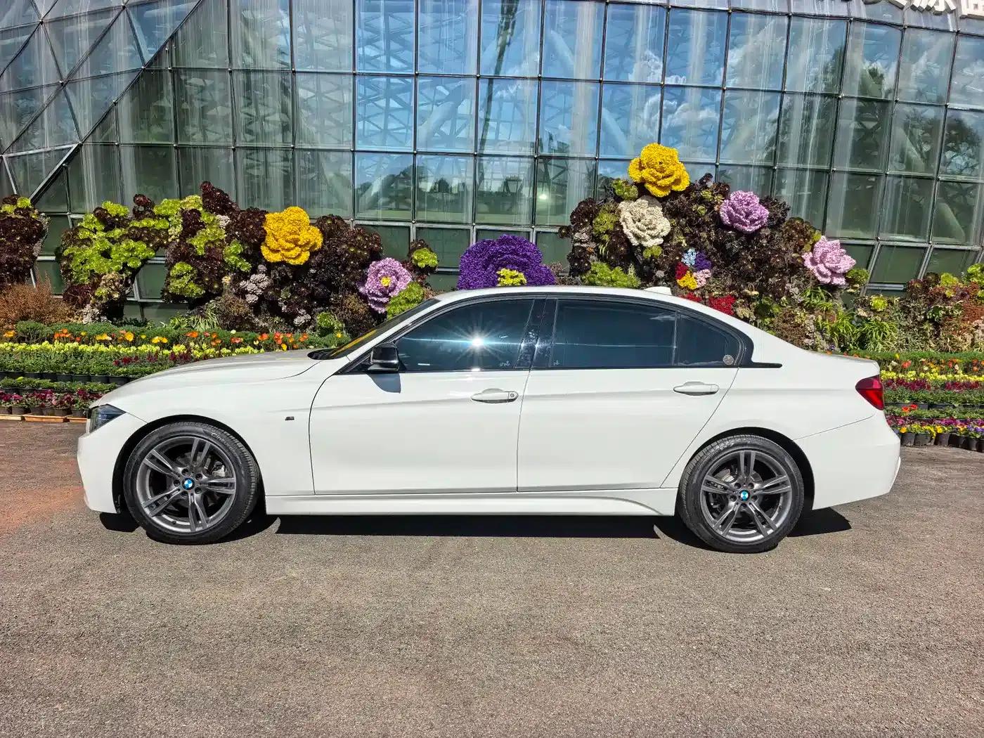 2019 BMW 3 Series 320Li M Sport Shadow Edition — миниатюра 13