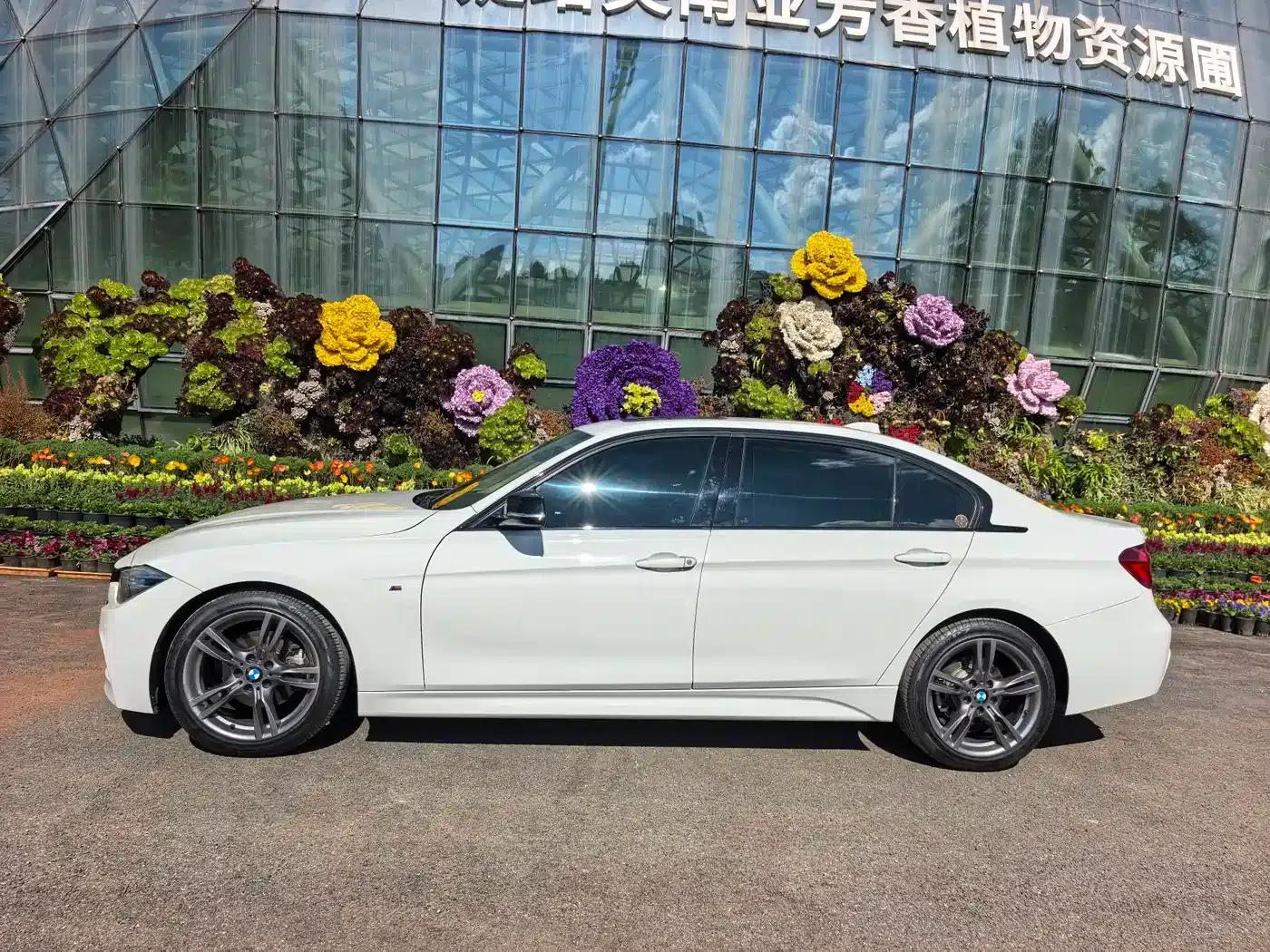 2019 BMW 3 Series 320Li M Sport Shadow Edition — миниатюра 3