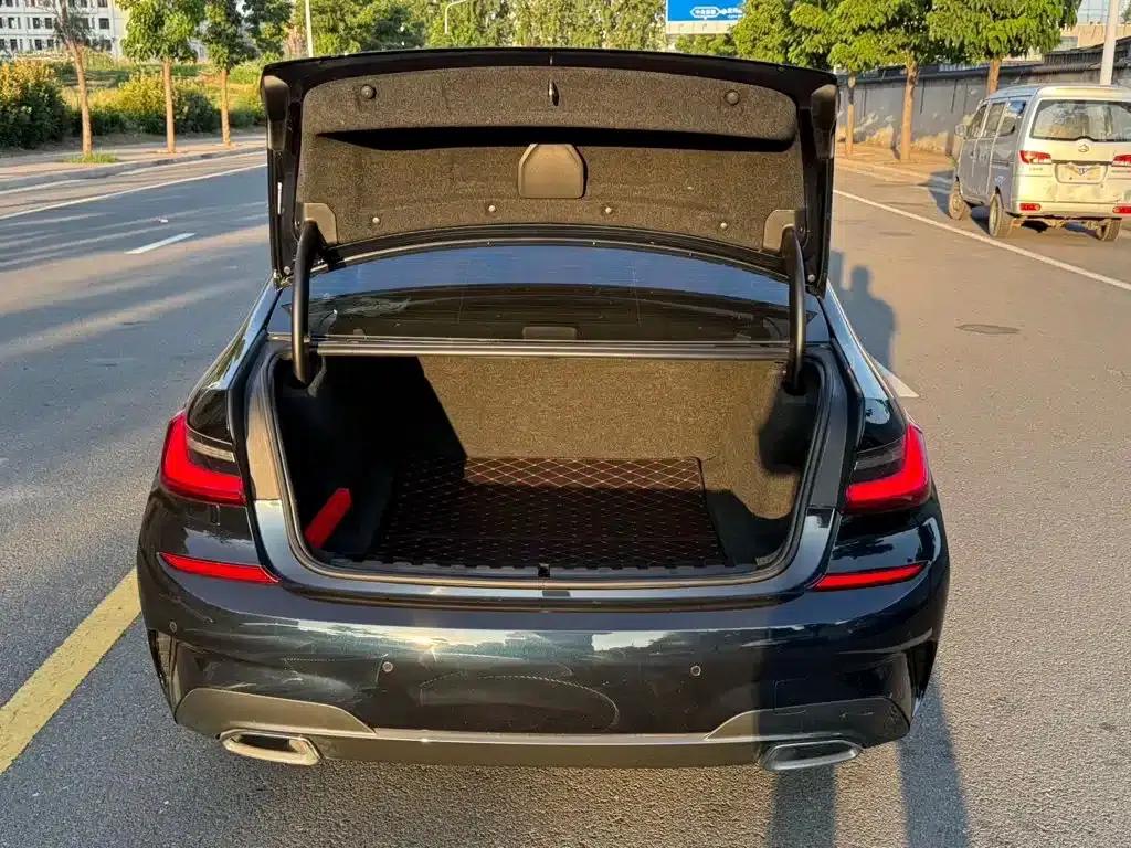 2022 BMW 3 Series 320Li M Sport Package — миниатюра 7