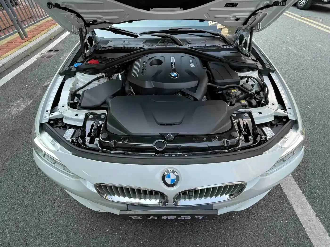 BMW 3 Series 2019 320Li Fashion Edition — миниатюра 18