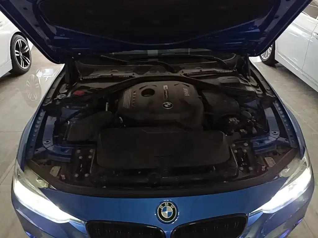 2017 BMW 3 Series 320Li M Sport — миниатюра 20