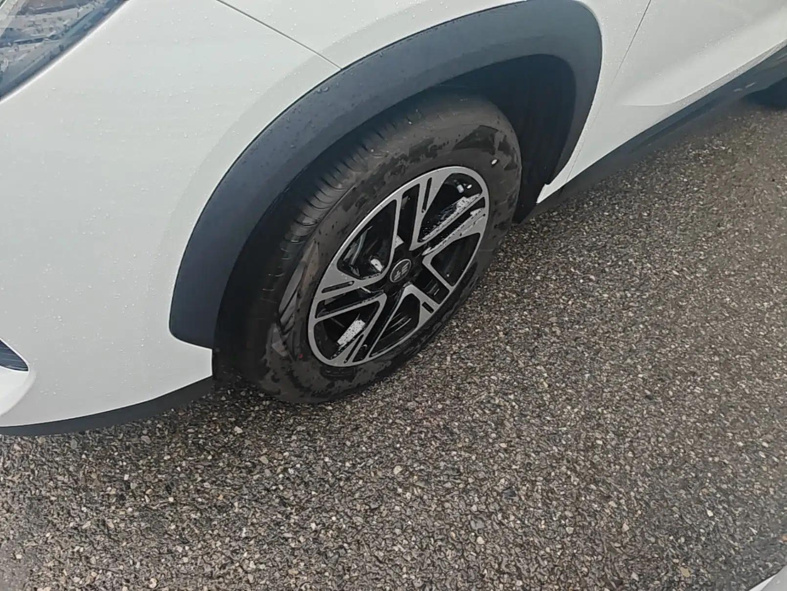 JETOUR Shanhai L6 2024 1.5TD DHT MAX — миниатюра 10