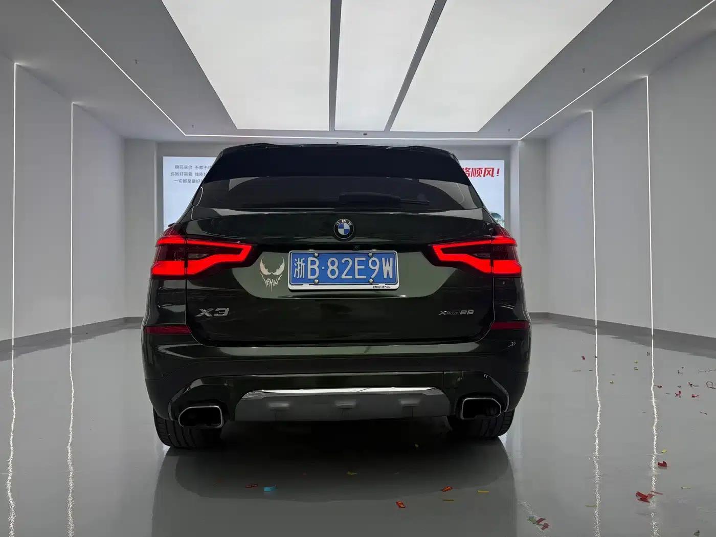 BMW X3 2018 xDrive25i Luxury Package (China VI Emission Standard) — миниатюра 9