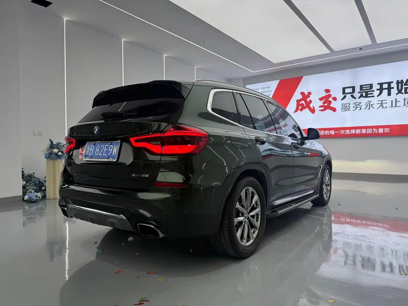 BMW X3 2018 xDrive25i Luxury Package (China VI Emission Standard) — миниатюра 10