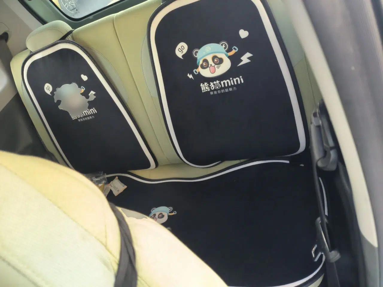 Geely Galaxy Panda 2023 Panda Mini 120km Super Cute Bear — миниатюра 17