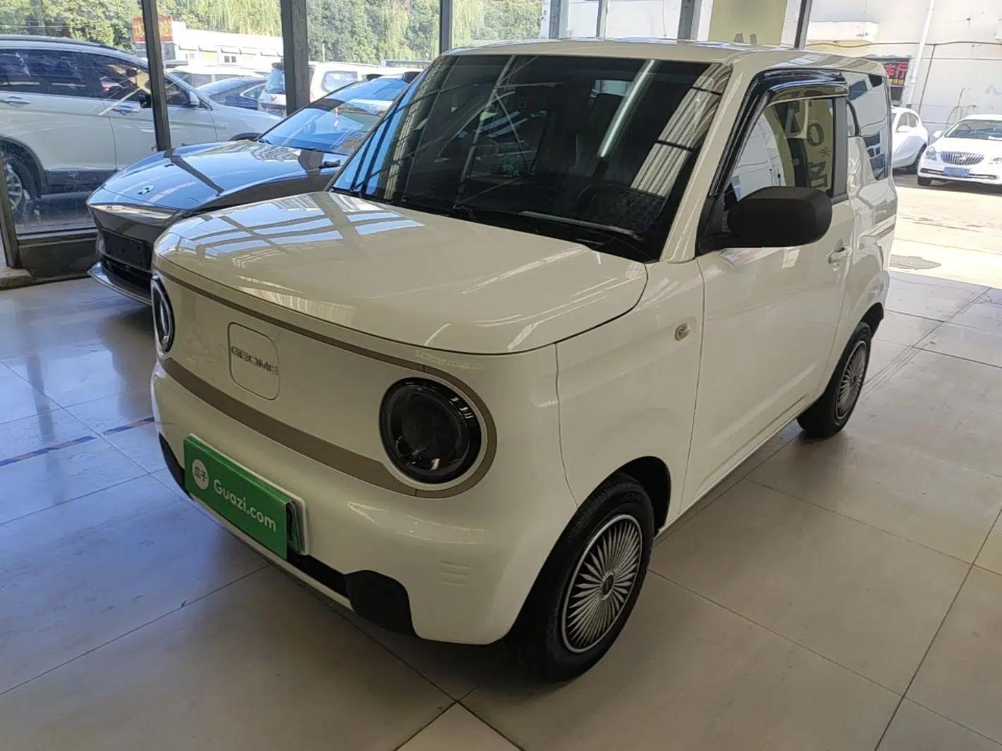 Geely Galaxy Panda 2023 Panda Mini 200km Endurance Bear — миниатюра 1