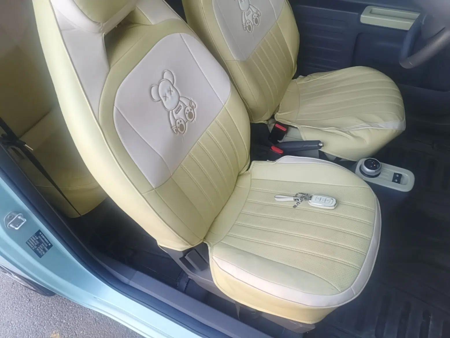 Geely Galaxy Panda 2023 Panda Mini 200km Dynamic Bear — миниатюра 24