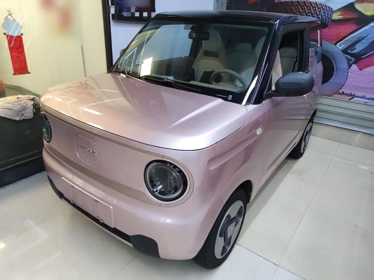 Geely Galaxy Panda 2023 Panda Mini 200km Dynamic Bear — миниатюра 1