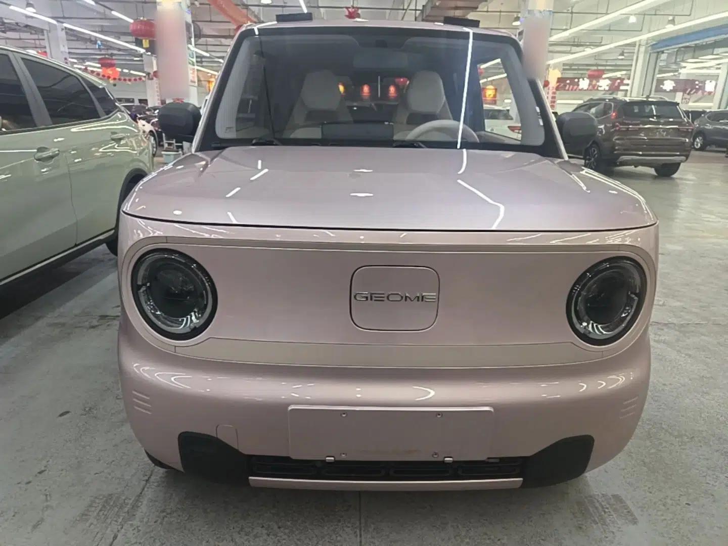 Geely Galaxy Panda 2023 Panda Mini 200km Endurance Bear — миниатюра 2