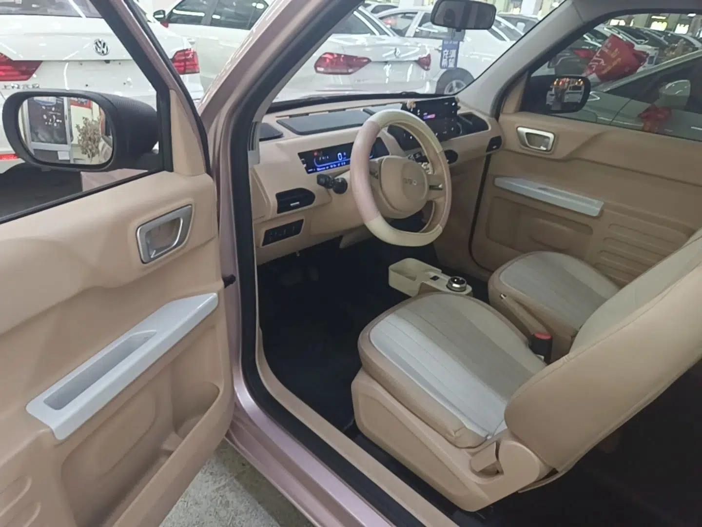 Geely Galaxy Panda 2023 Panda Mini 200km Endurance Bear — миниатюра 18