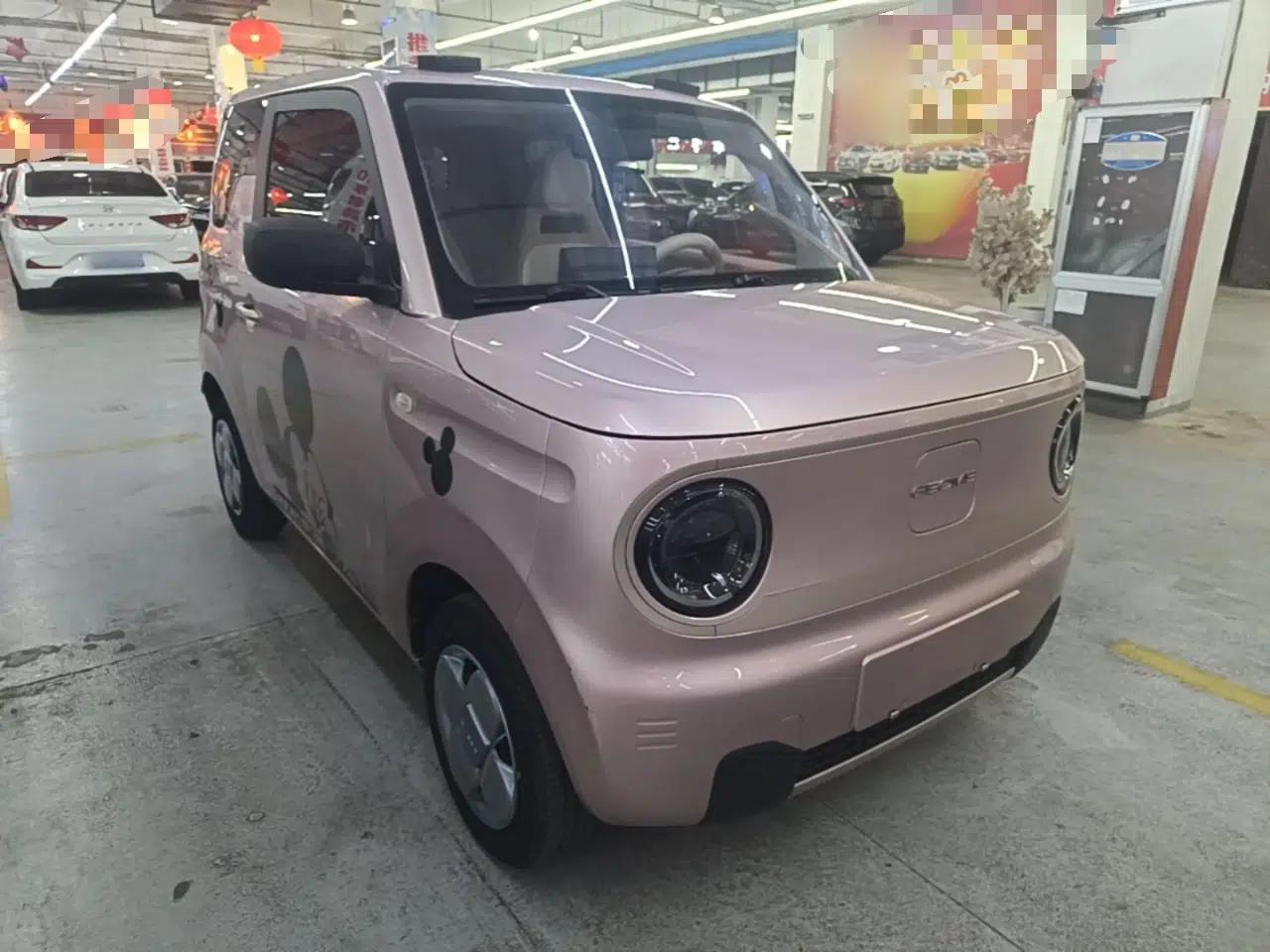 Geely Galaxy Panda 2023 Panda Mini 200km Endurance Bear — миниатюра 3
