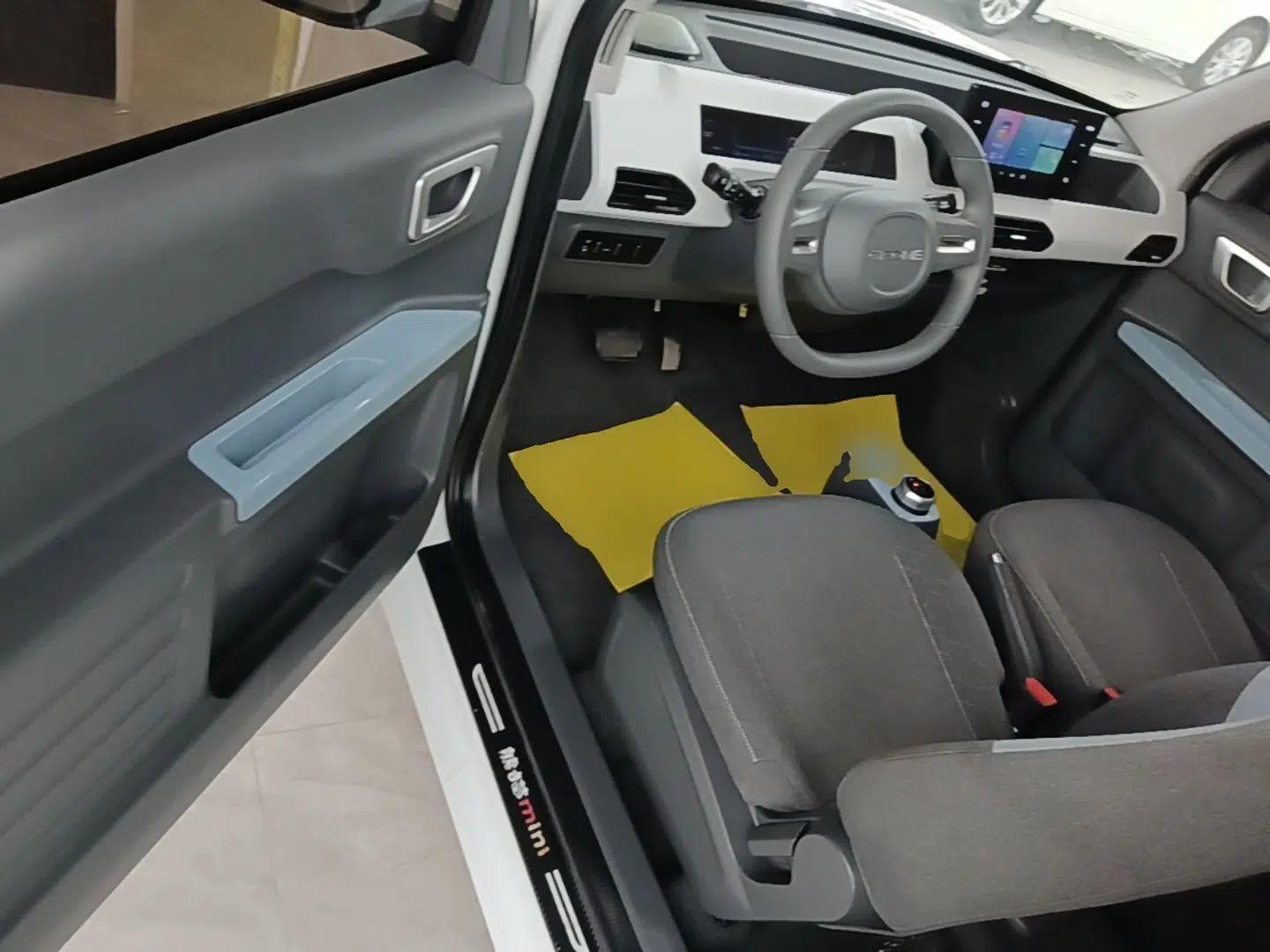 Geely Galaxy Panda 2024 Panda Mini 200km Endurance Bear — миниатюра 18