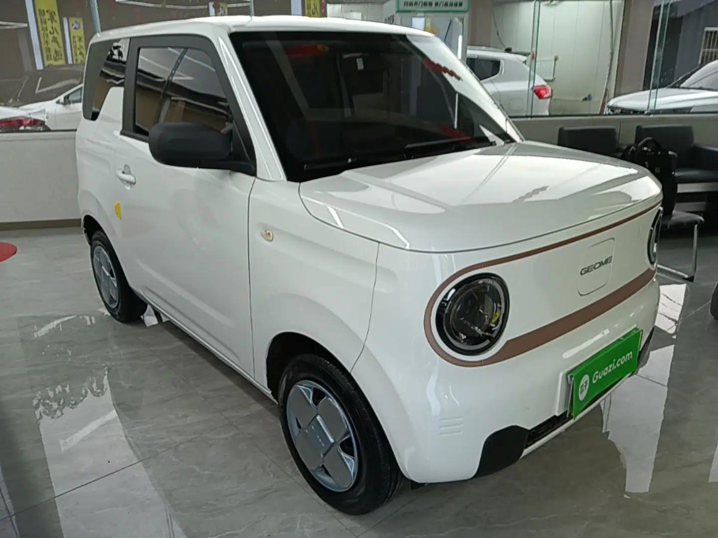 Geely Galaxy Panda 2024 Panda Mini 200km Endurance Bear — миниатюра 3