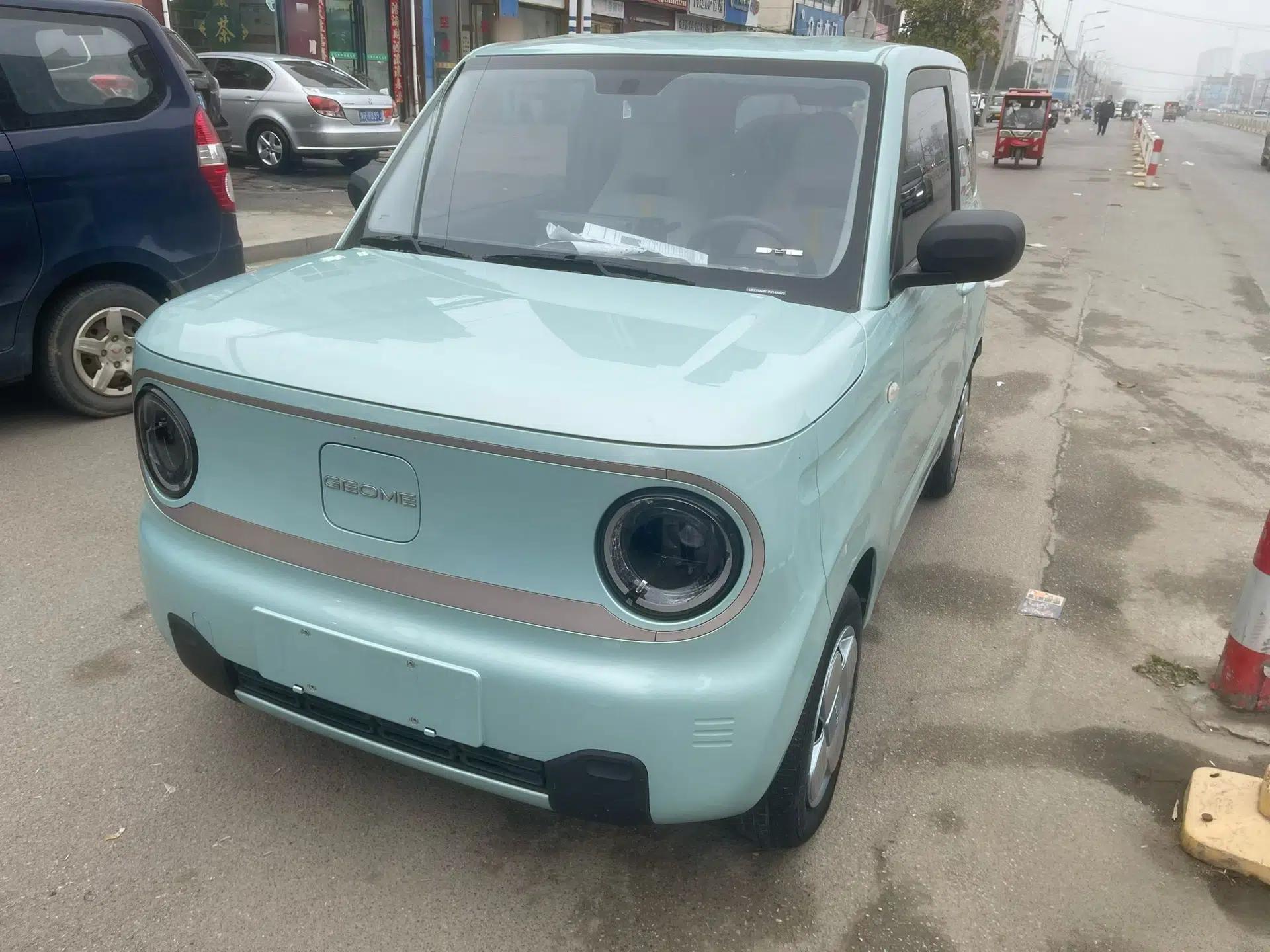 Geely Galaxy Panda 2023 Panda Mini 200km Endurance Bear — миниатюра 1