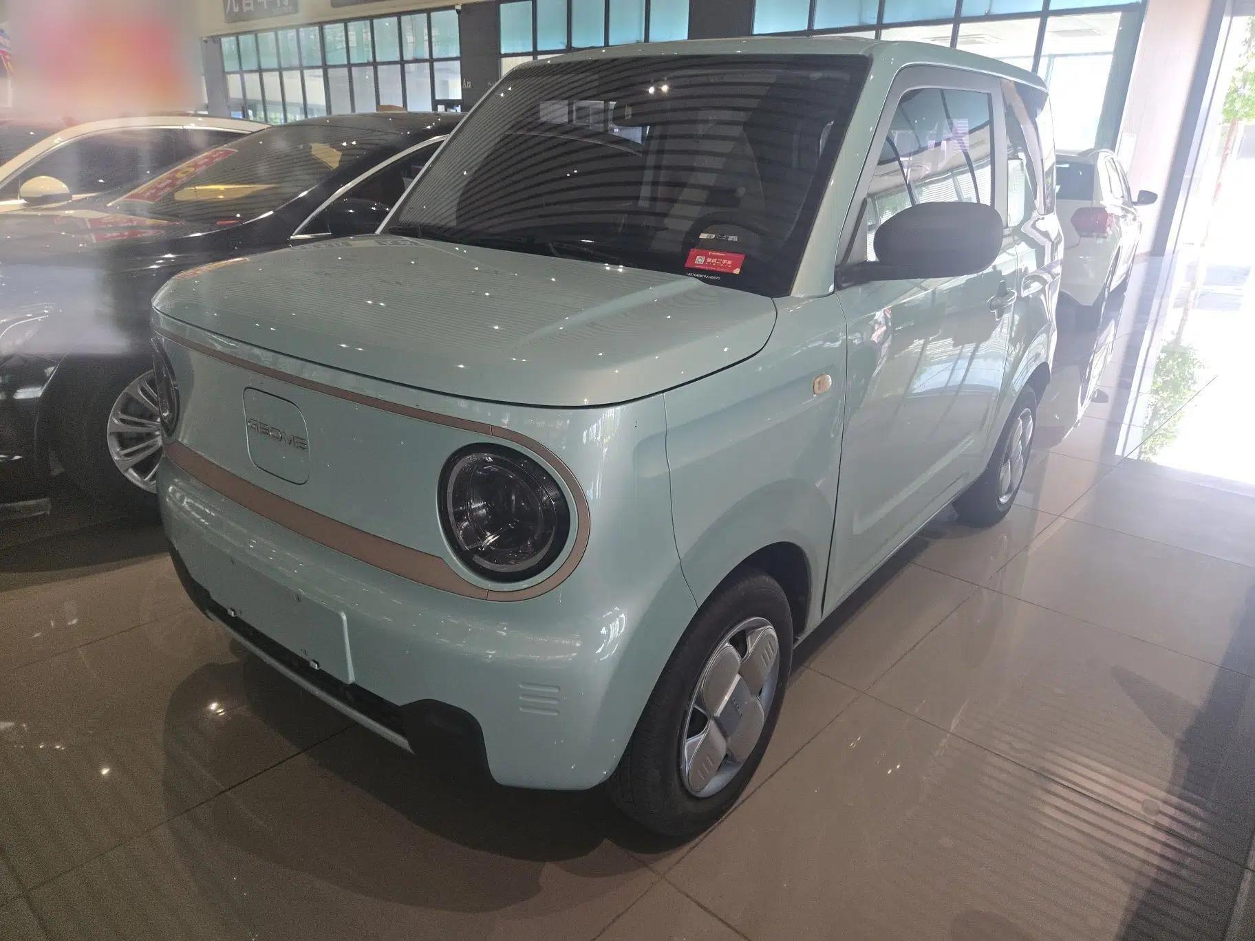 Geely Galaxy Panda 2023 Panda Mini 200km Endurance Bear — миниатюра 2