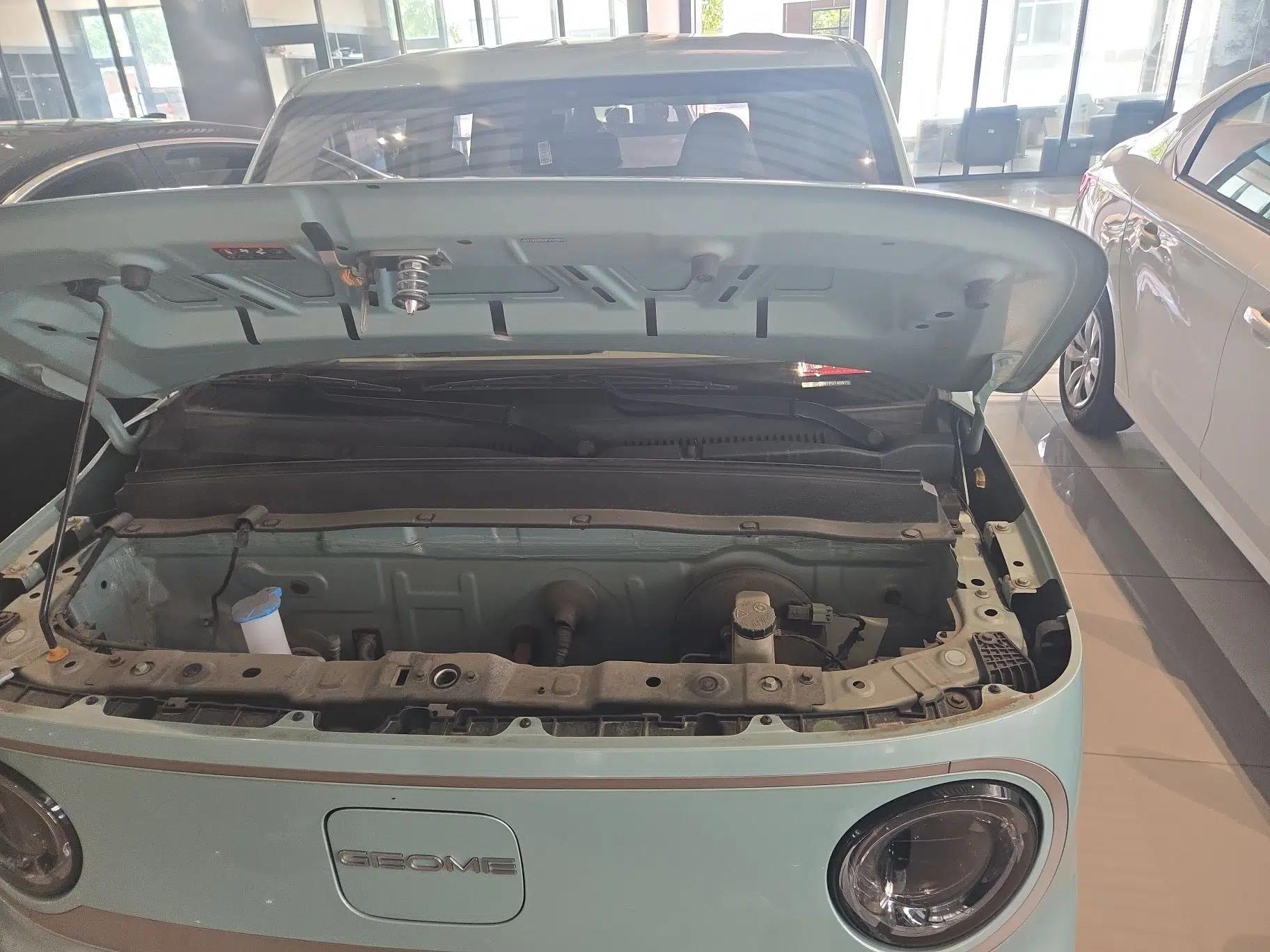 Geely Galaxy Panda 2023 Panda Mini 200km Endurance Bear — миниатюра 12