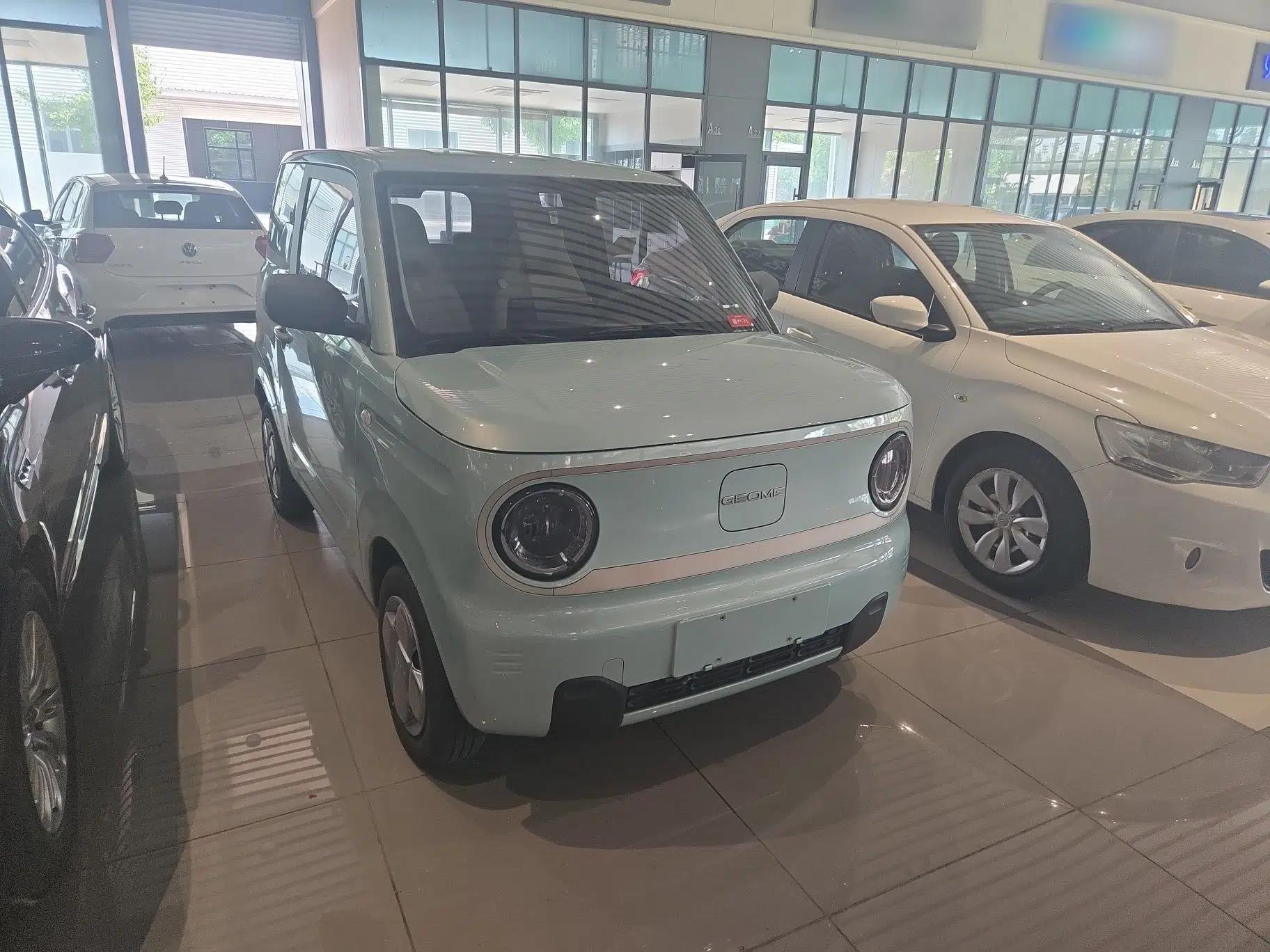 Geely Galaxy Panda 2023 Panda Mini 200km Endurance Bear — миниатюра 3