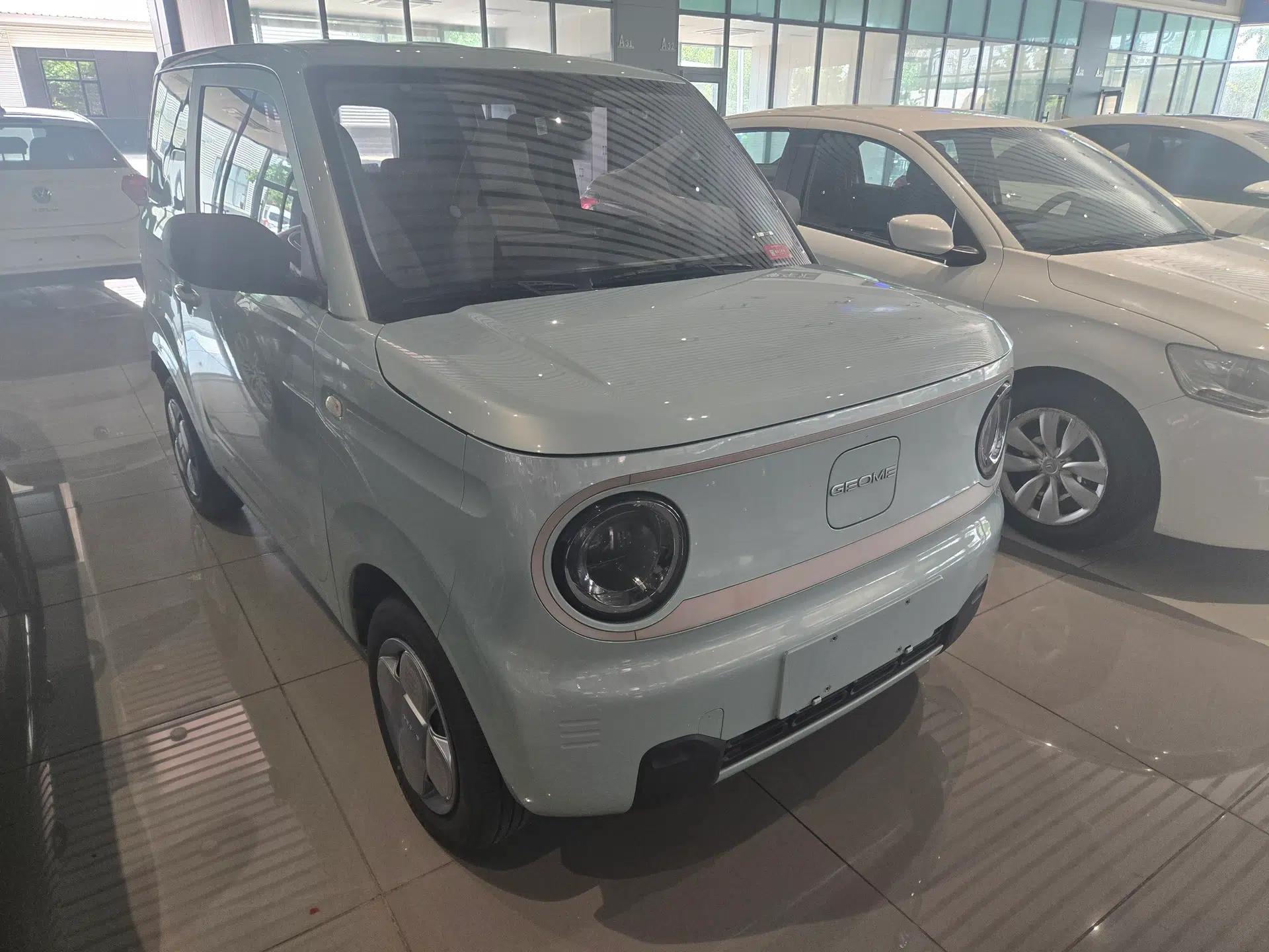 Geely Galaxy Panda 2023 Panda Mini 200km Endurance Bear — миниатюра 4