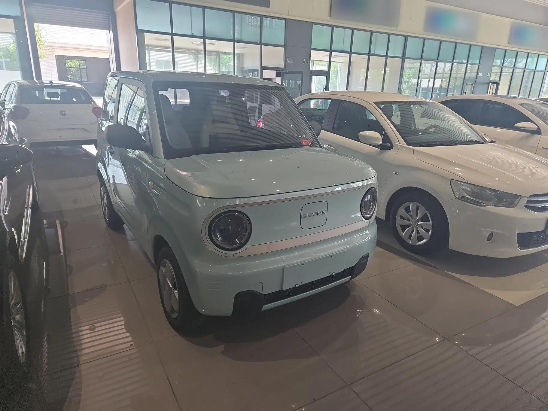 Geely Galaxy Panda 2023 Panda Mini 200km Endurance Bear — миниатюра 6