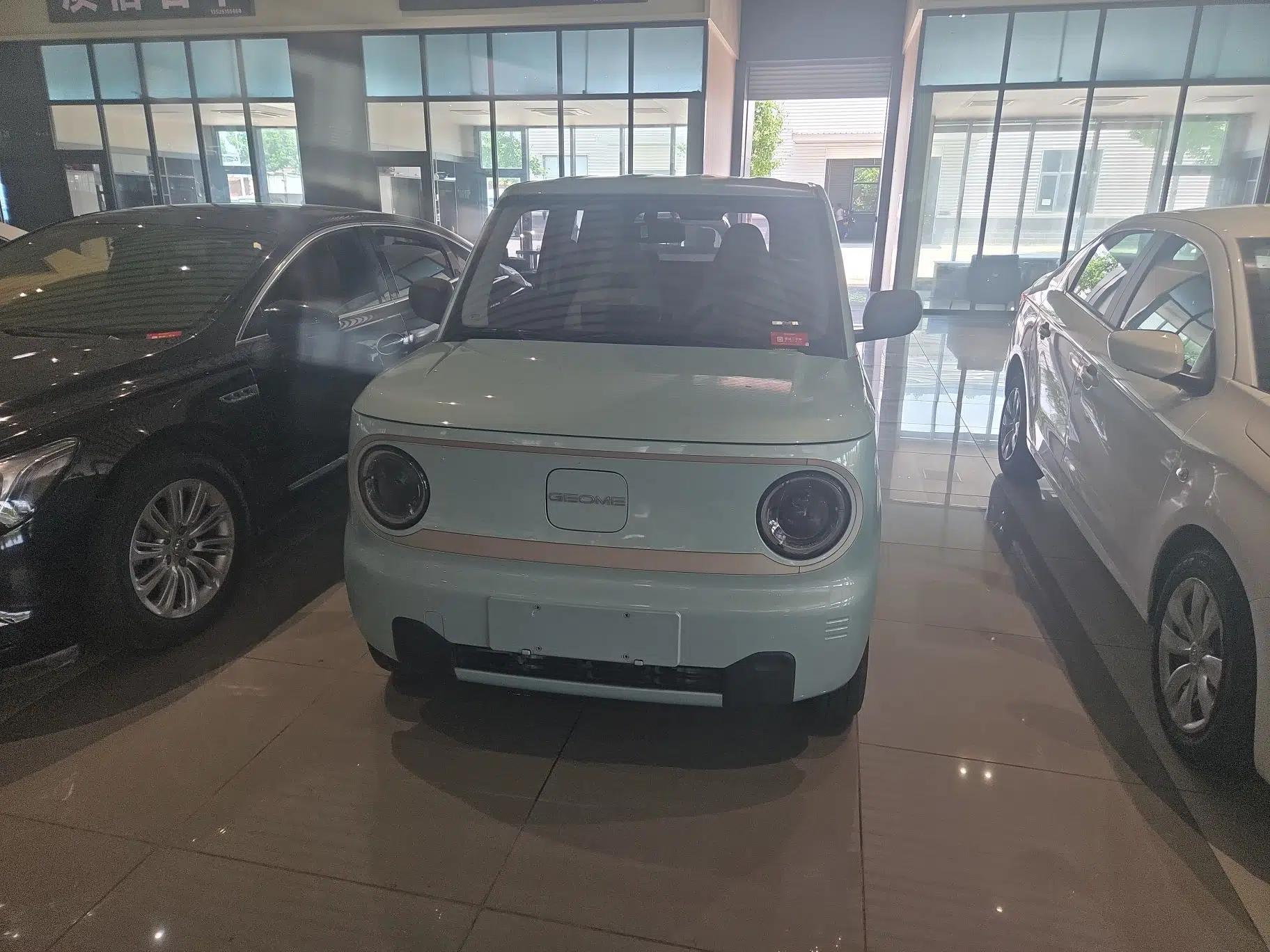 Geely Galaxy Panda 2023 Panda Mini 200km Endurance Bear — миниатюра 7