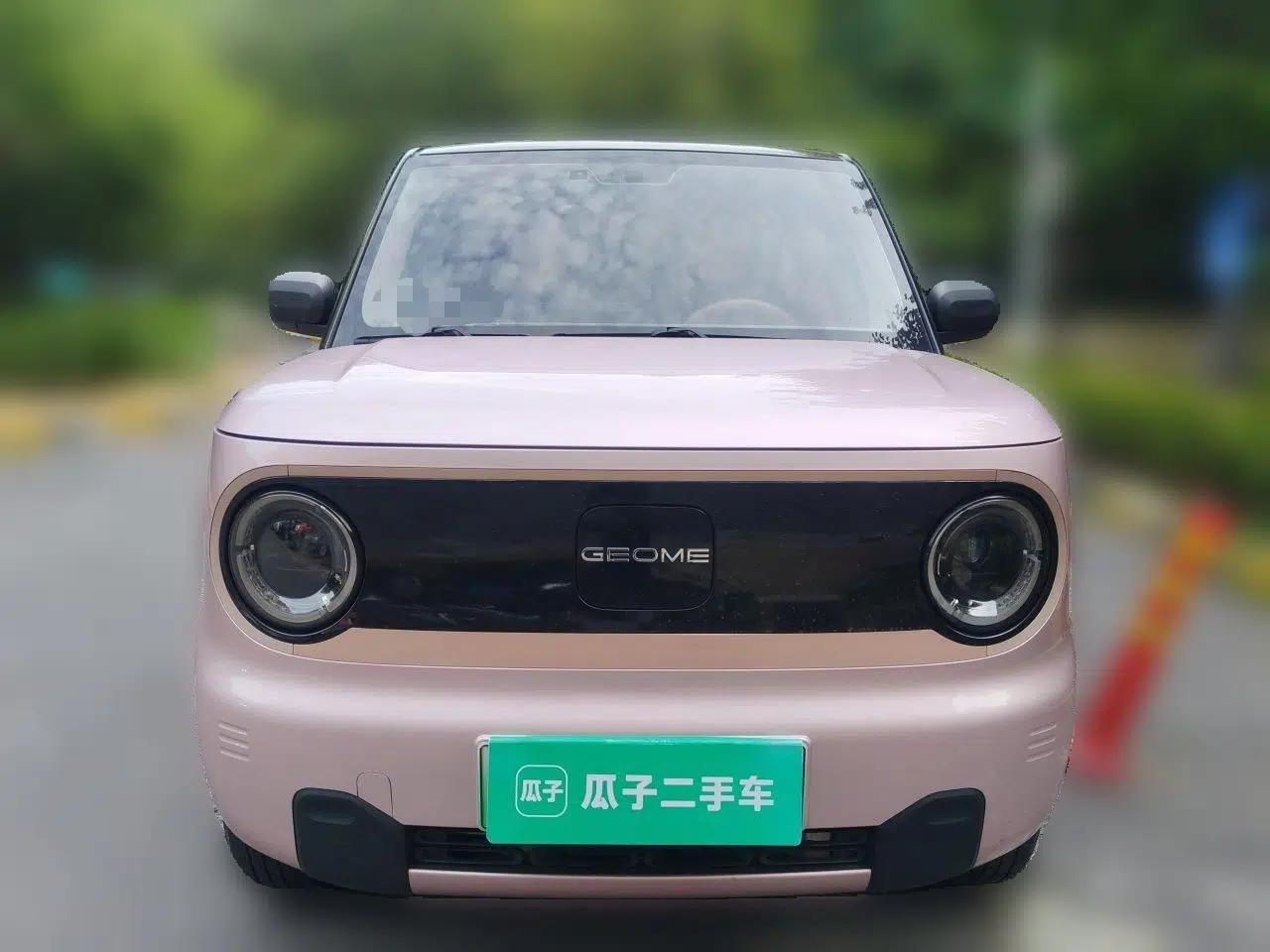 Geely Galaxy Panda 2023 Panda Mini 200km Endurance Bear — миниатюра 2